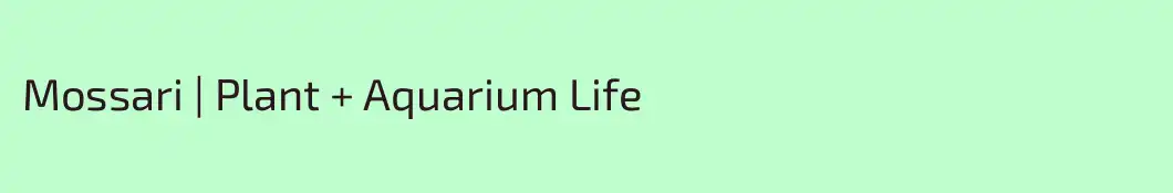 Mossari | Plant + Aquarium Life